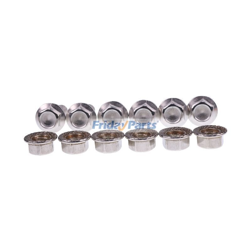Flanged Hex Head Bolt with Nut in Stock in China