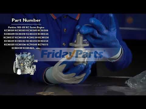 FridayParts Fuel Feed Pump2010203020402020