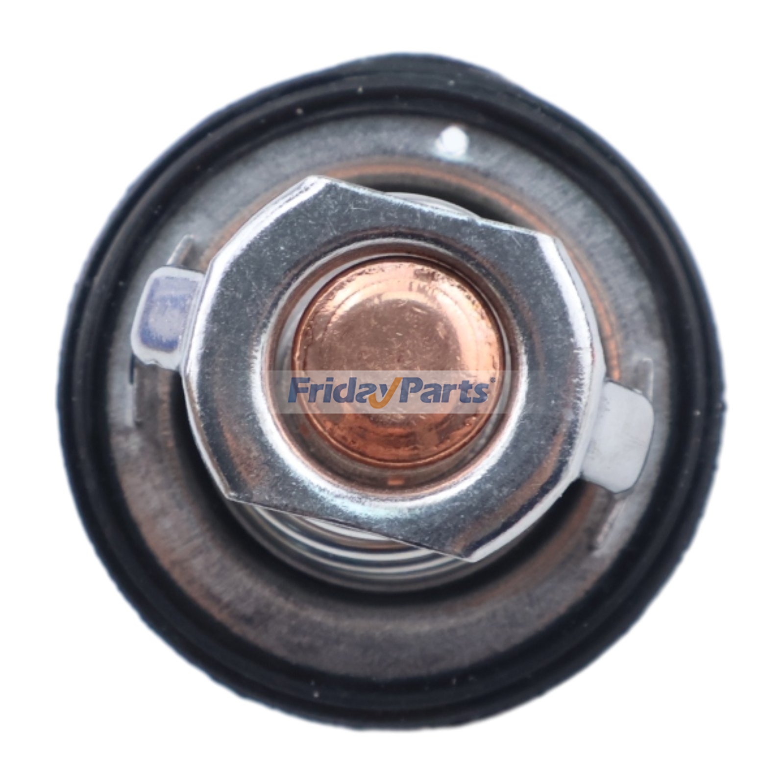 FridayParts Thermostat