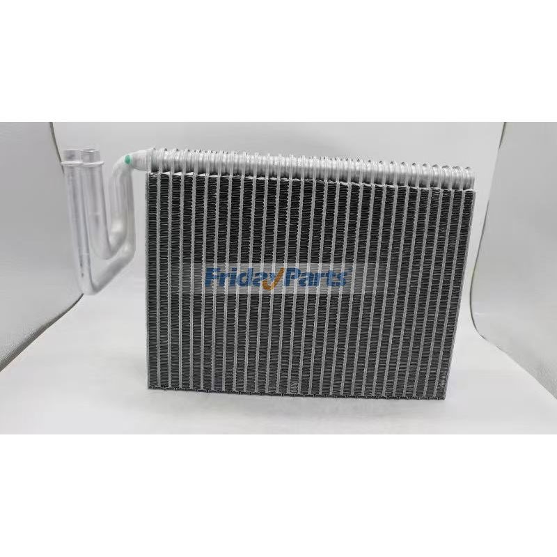 Évaporateur A/C 6005029037 pour tracteur Claas Ares 547 557 567 617 657 697 Arion 530 810 820 830 840 850 Celtis 426 436 446 456