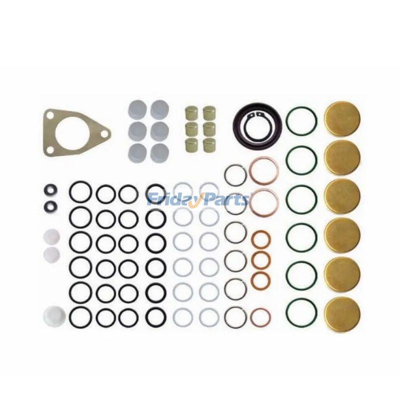 Kit de réparation de pompe d'injection de carburant Bosch 2417010021 de rechange