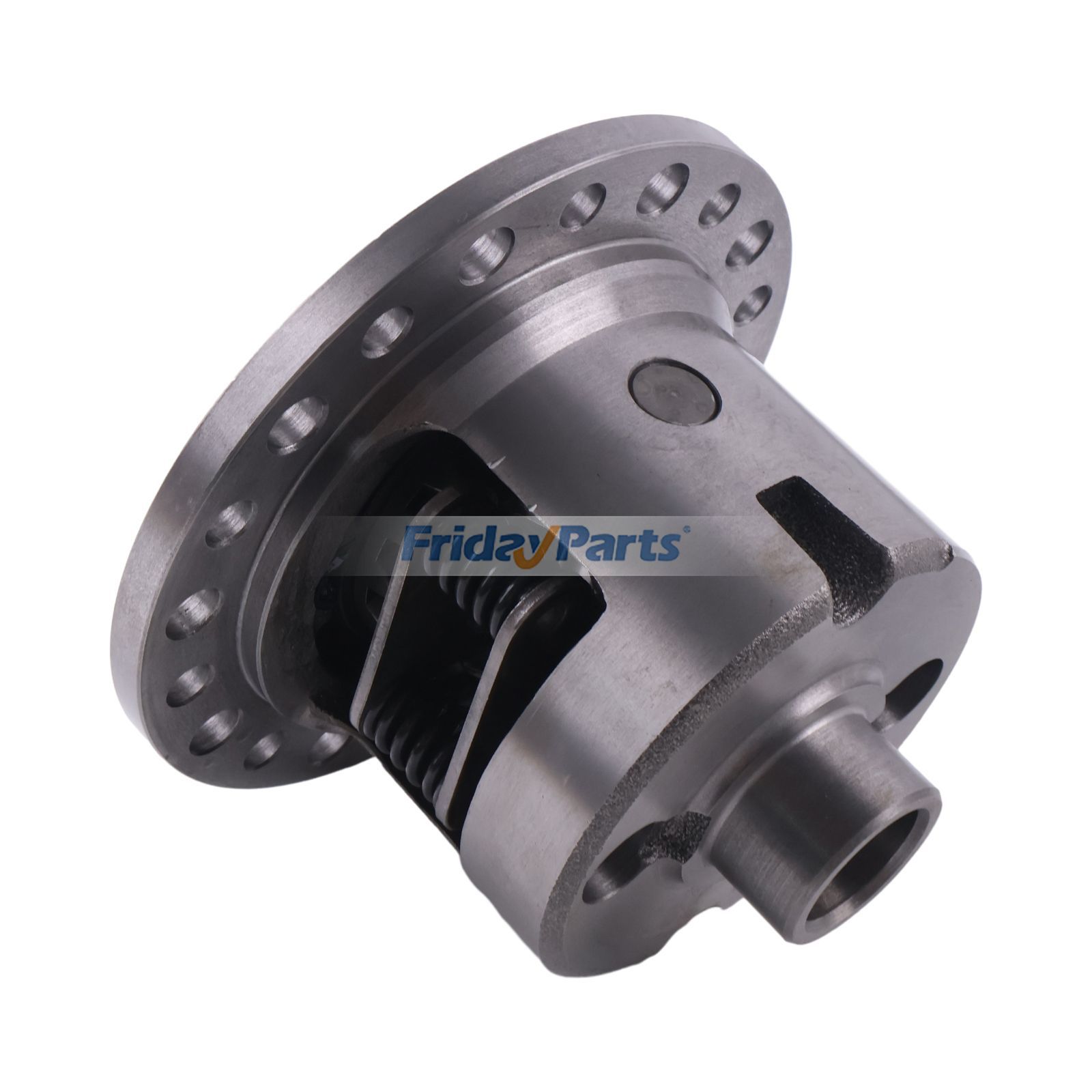 Limited Slip Differential for Vehicle