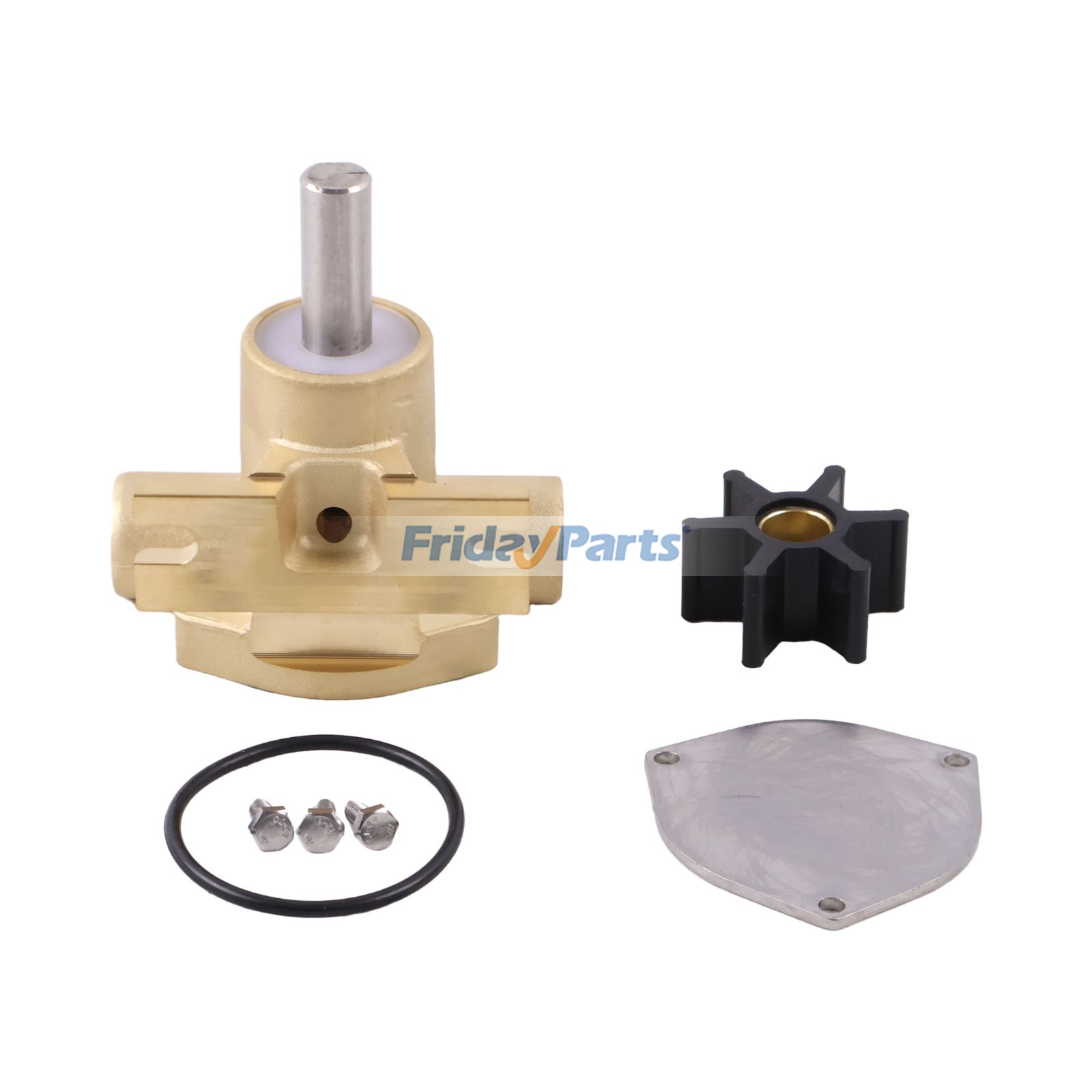 Bronze Flexible Impeller Pump for Others