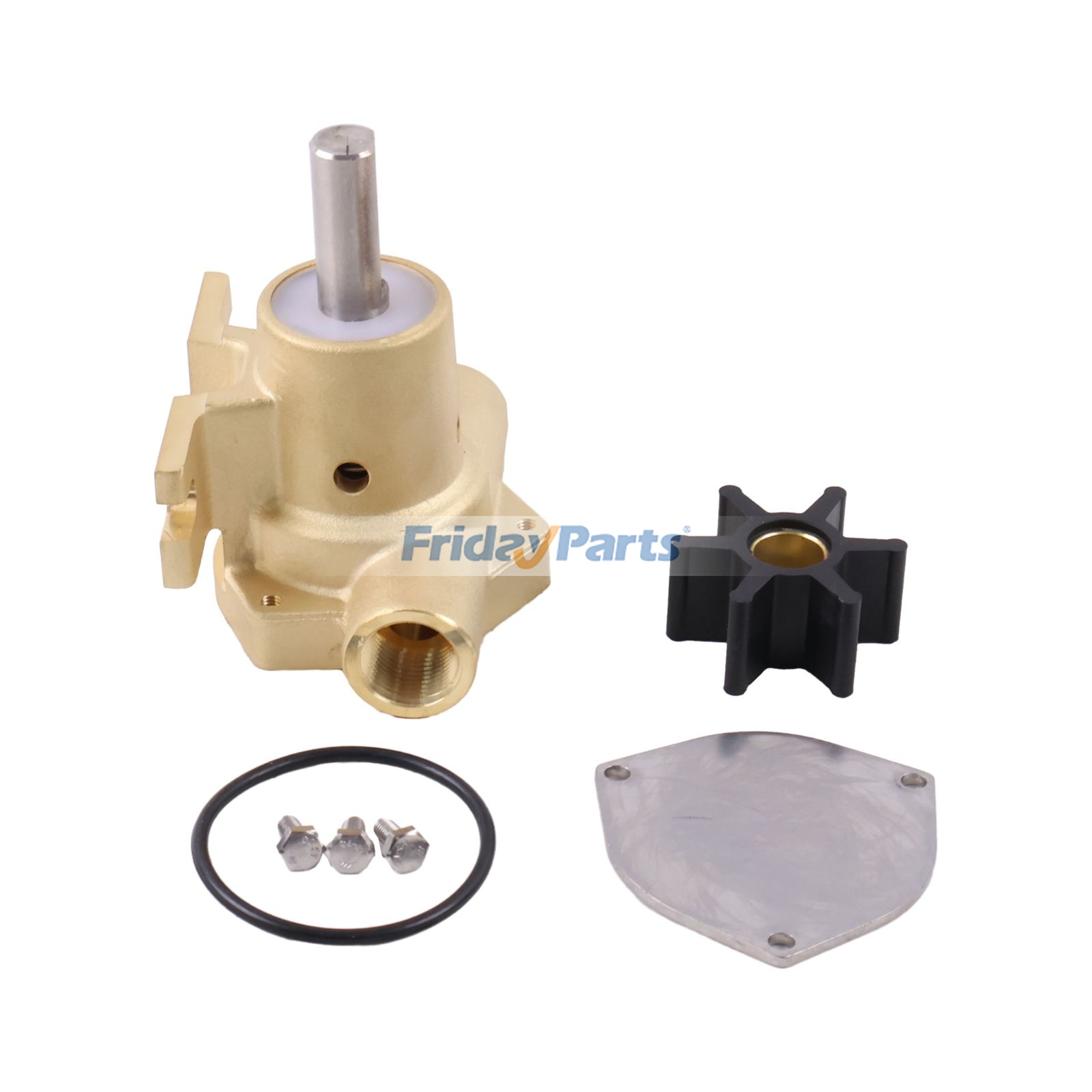Others Bronze Flexible Impeller Pump