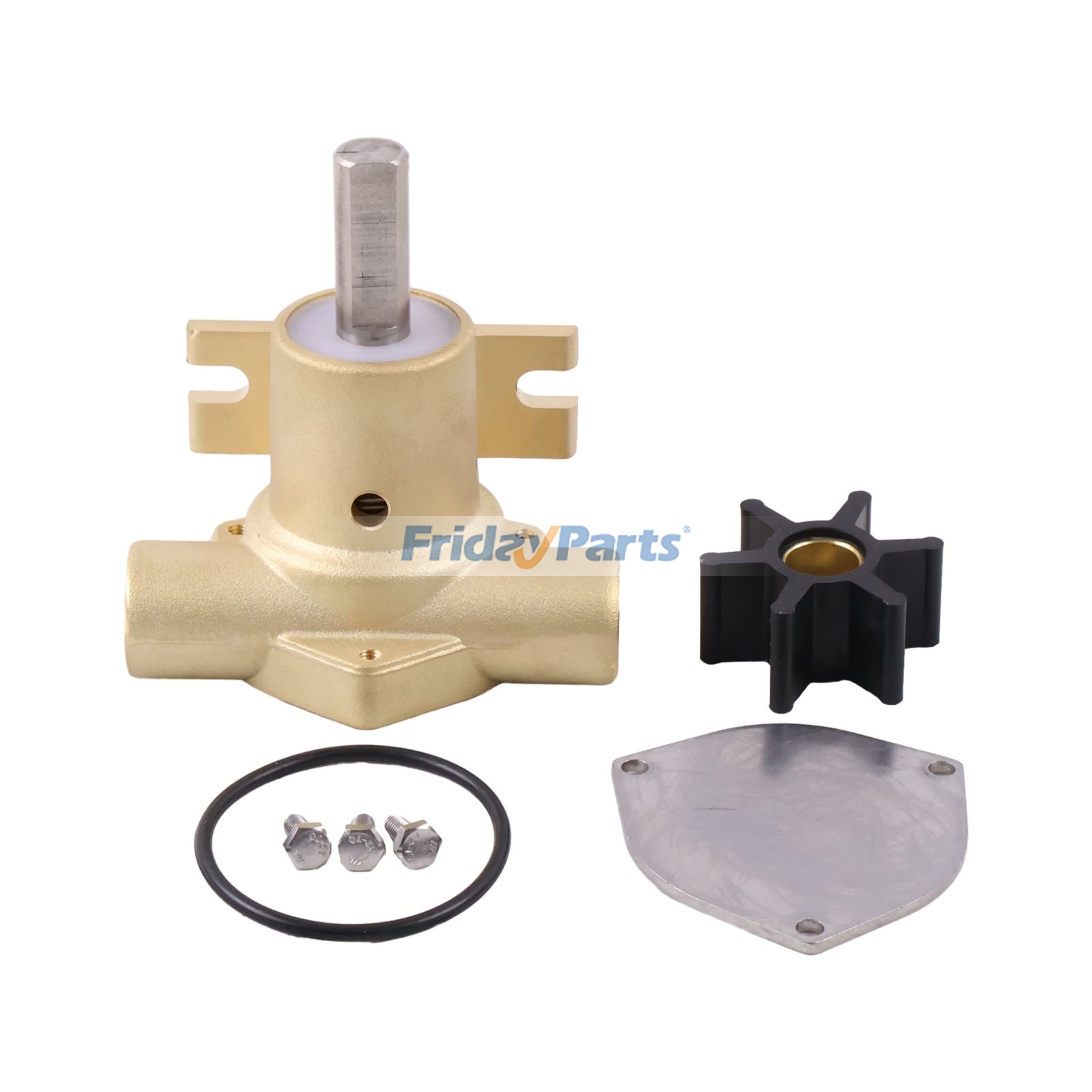 Bronze Flexible Impeller Pump in Stock in China