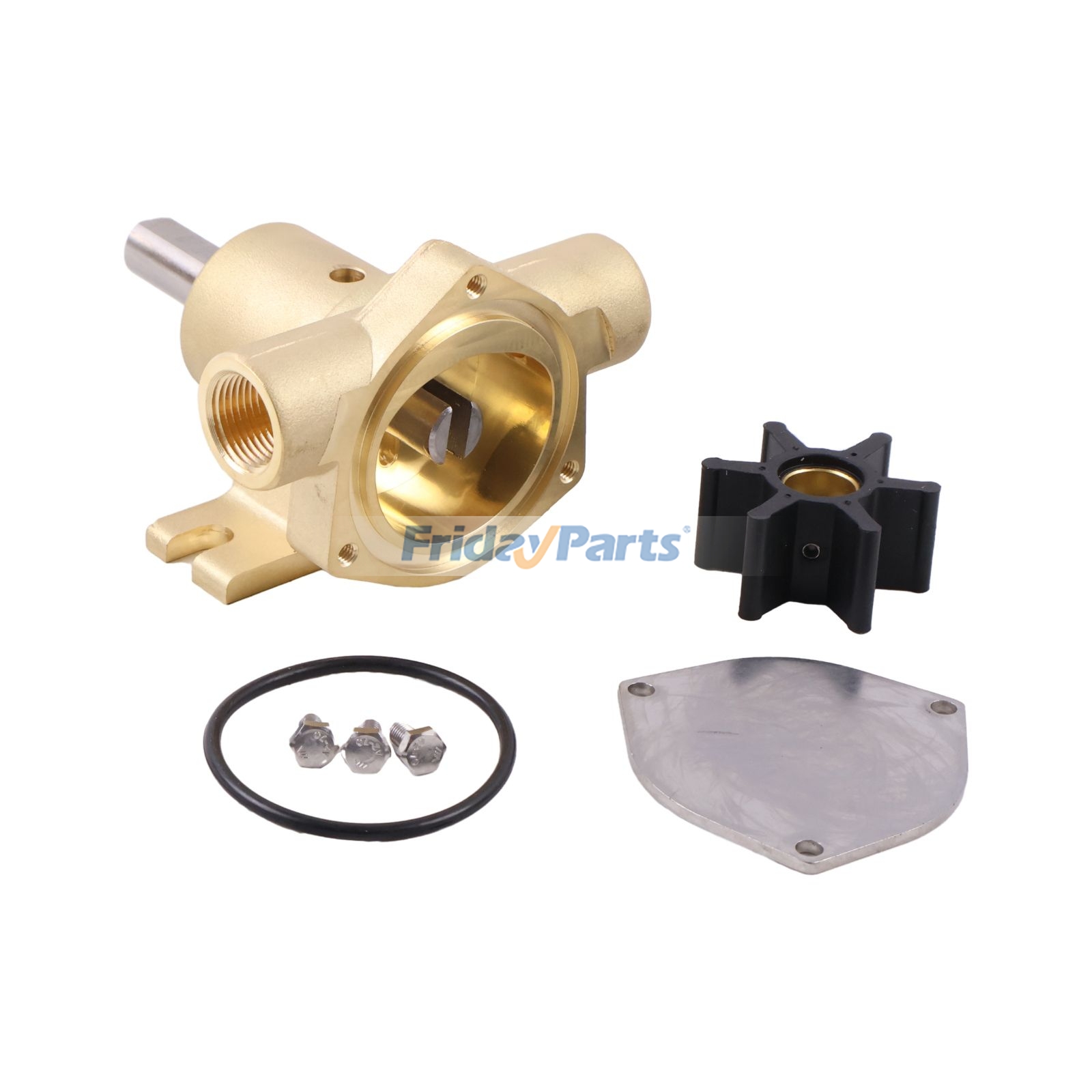 FridayParts Bronze Flexible Impeller Pump
