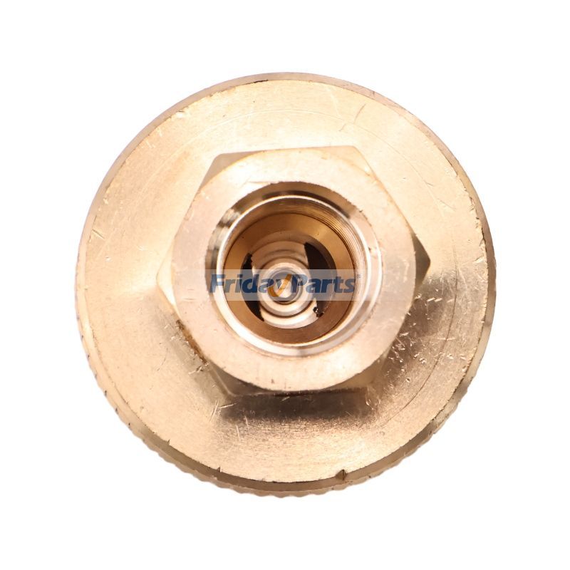 Weiblicher PropantankanschlussFür Nissan,Für andere Marken,Für Toyota,Für Hyster