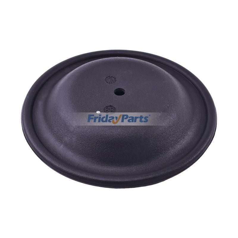 Membrane de pompe primaire Vitonpour Autres