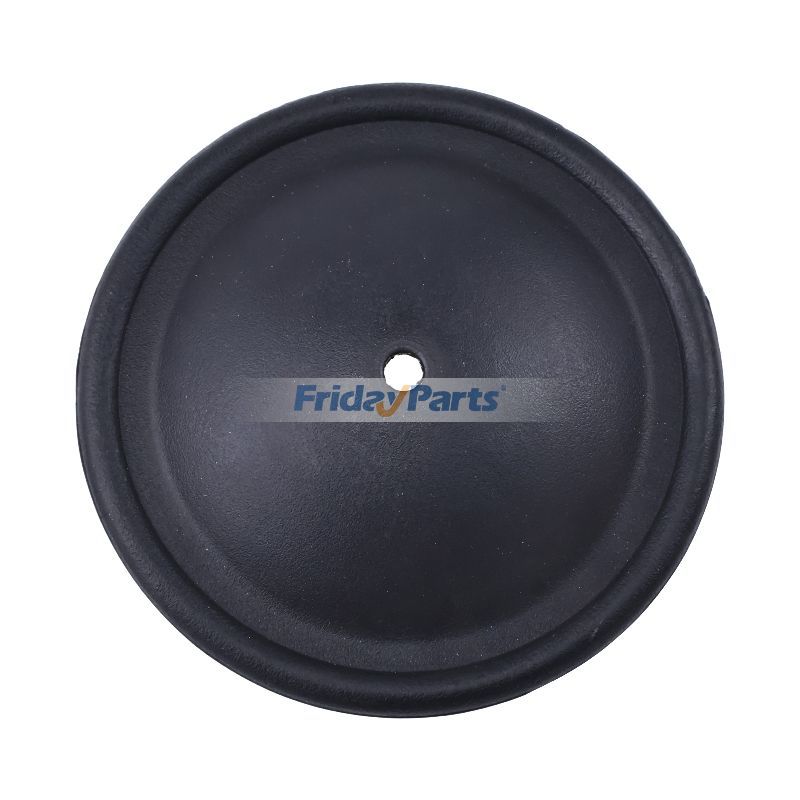Fluoroelastomer Primary Pump Diaphragm for Others