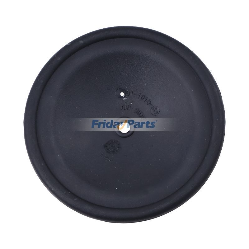 Others Fluoroelastomer Primary Pump Diaphragm