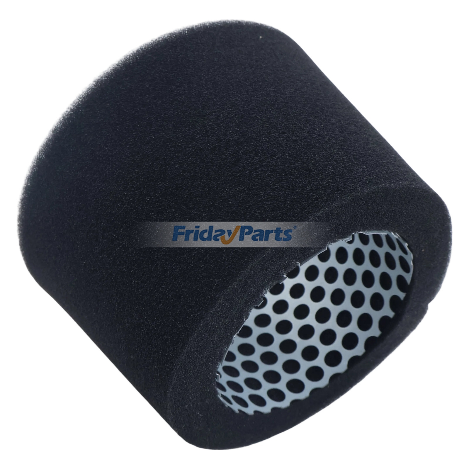 Engine Air Cleaner