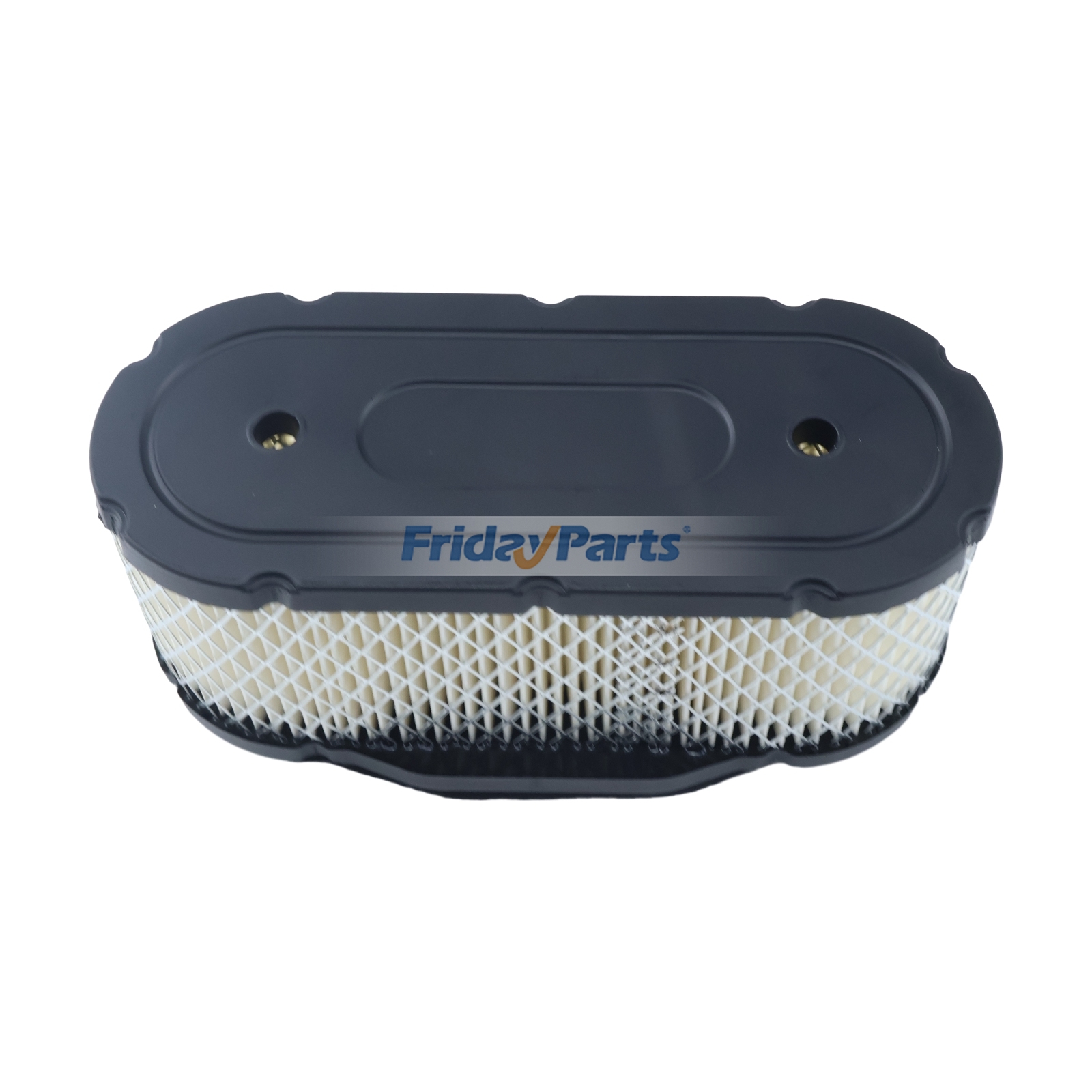 Engine Air Filter