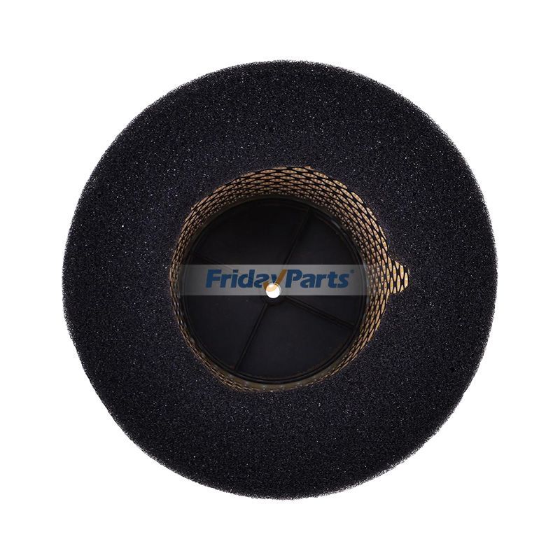 FridayParts Air Filter Cleaner