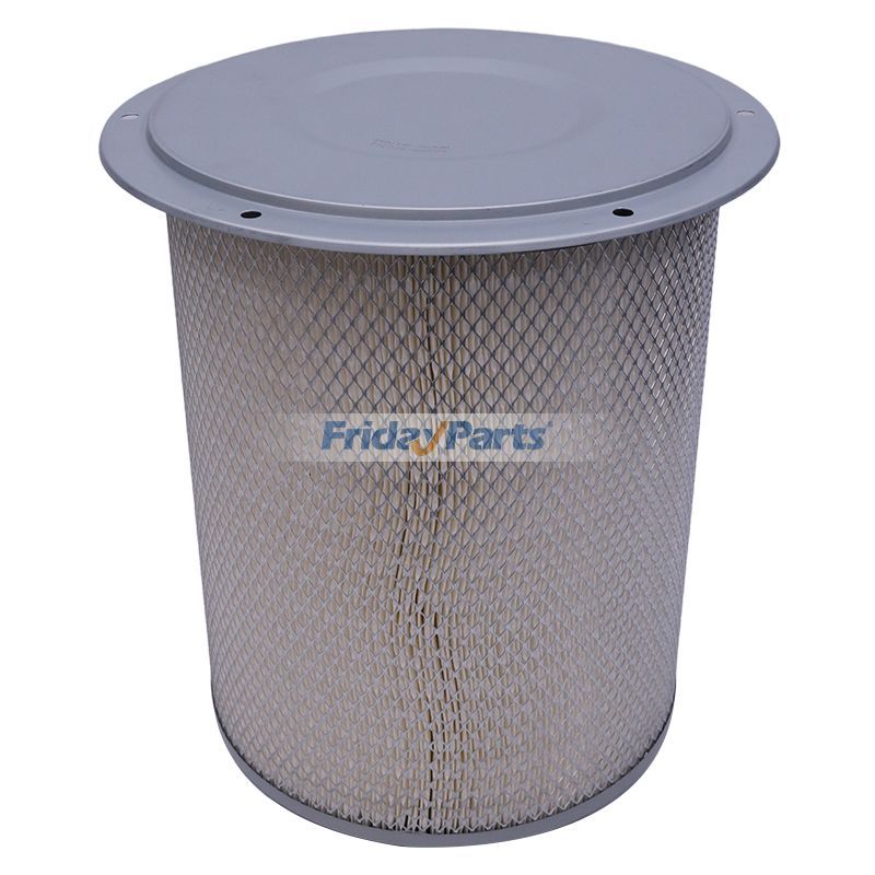 Luftfilter für International Fleetguard Champfür Lastkraftwagen 