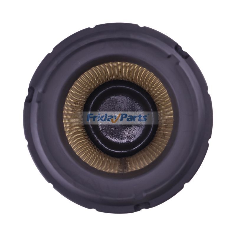 Kit de filtre à air 006019168C1 006019167C1 pour Mahindra 6065