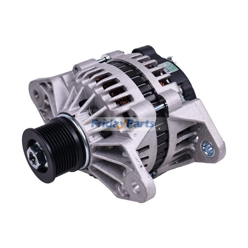 Lichtmaschine 70024310 für JLG Teleskoplader G12-55A G10-55A