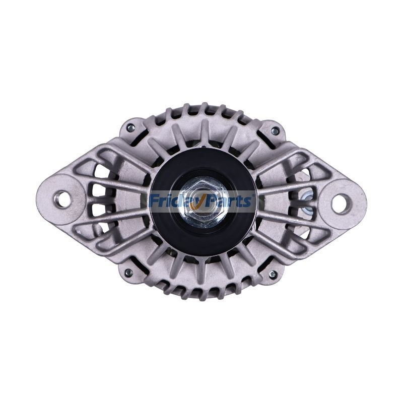 Lichtmaschine 70024310 für JLG Teleskoplader G12-55A G10-55Afür Für JLG