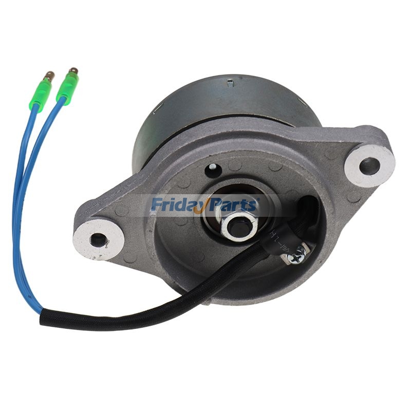 Alternateurpour Générateur