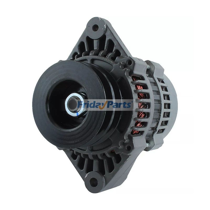 Lichtmaschine 19020616 8463 18-6299 für Crusader Boat Pleasurecraft Motor Delco Marine Gabelstapler