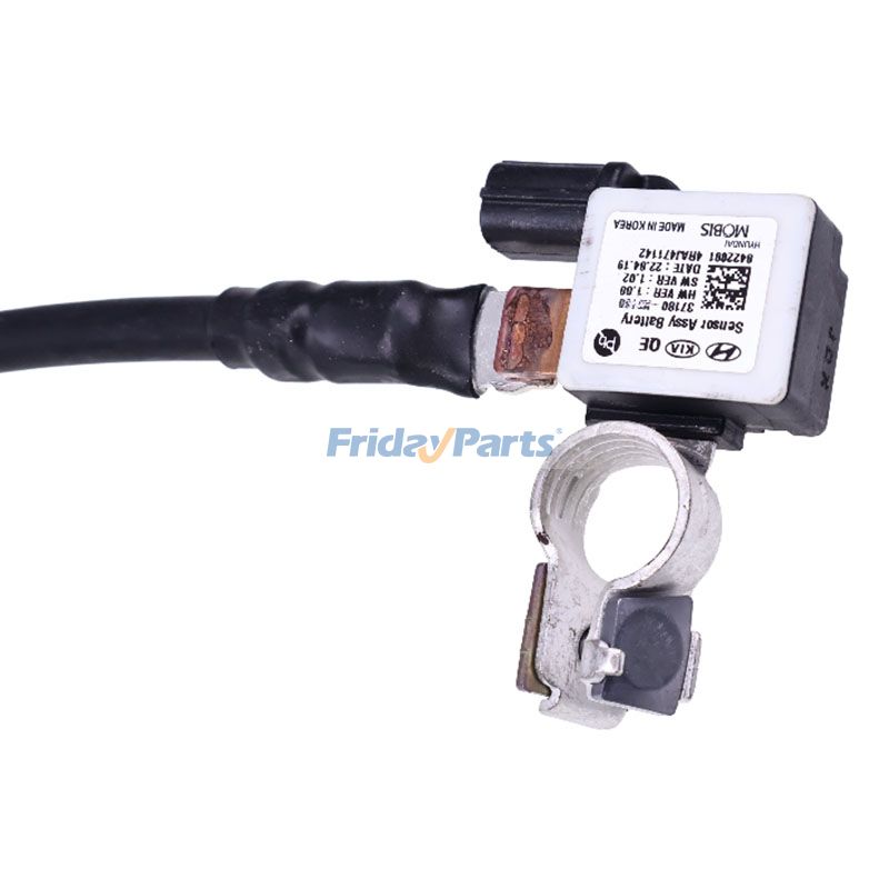 Câble négatif de la batterie de FridayParts