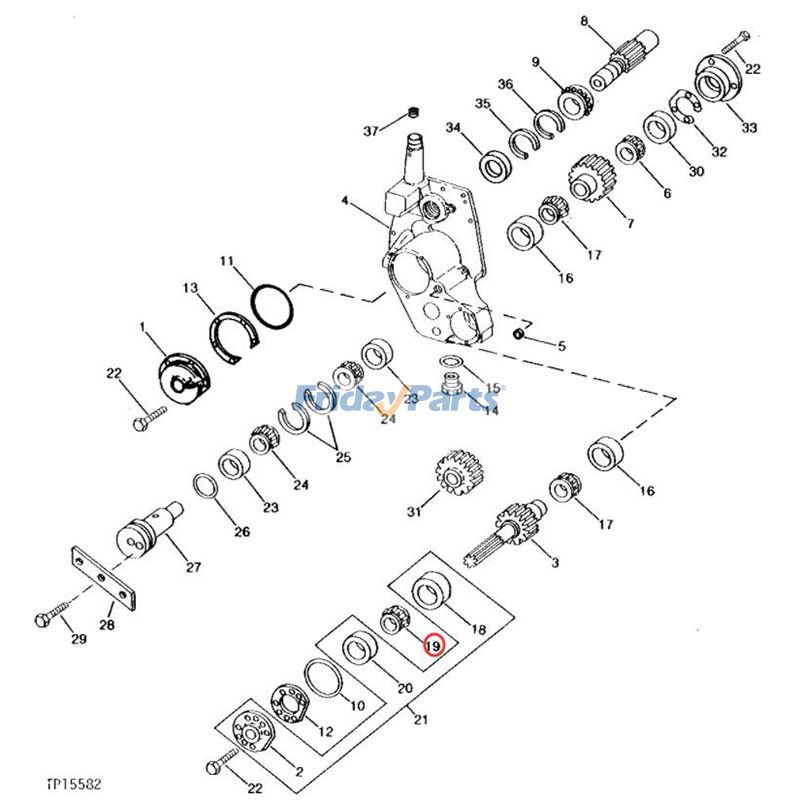 Bearing Cone 2204 7510 7730 7810 2044M 6140JH 6170M 7185J 7250R 7R350 8270R 8R280 8R310 8R340 for Forklift,Loader,Tractor