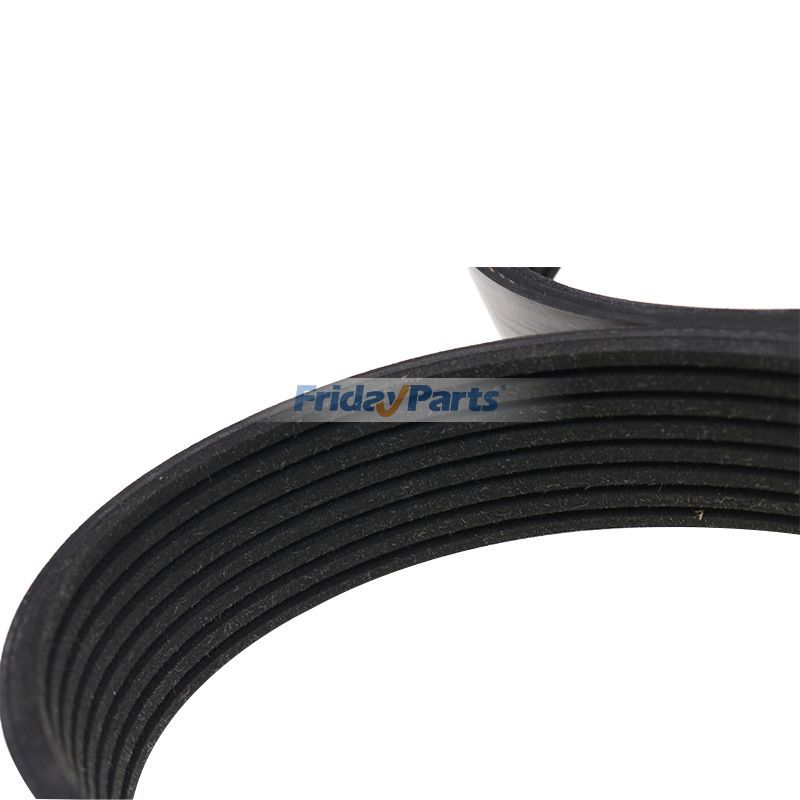 Belt (8PK/1443) for Engine