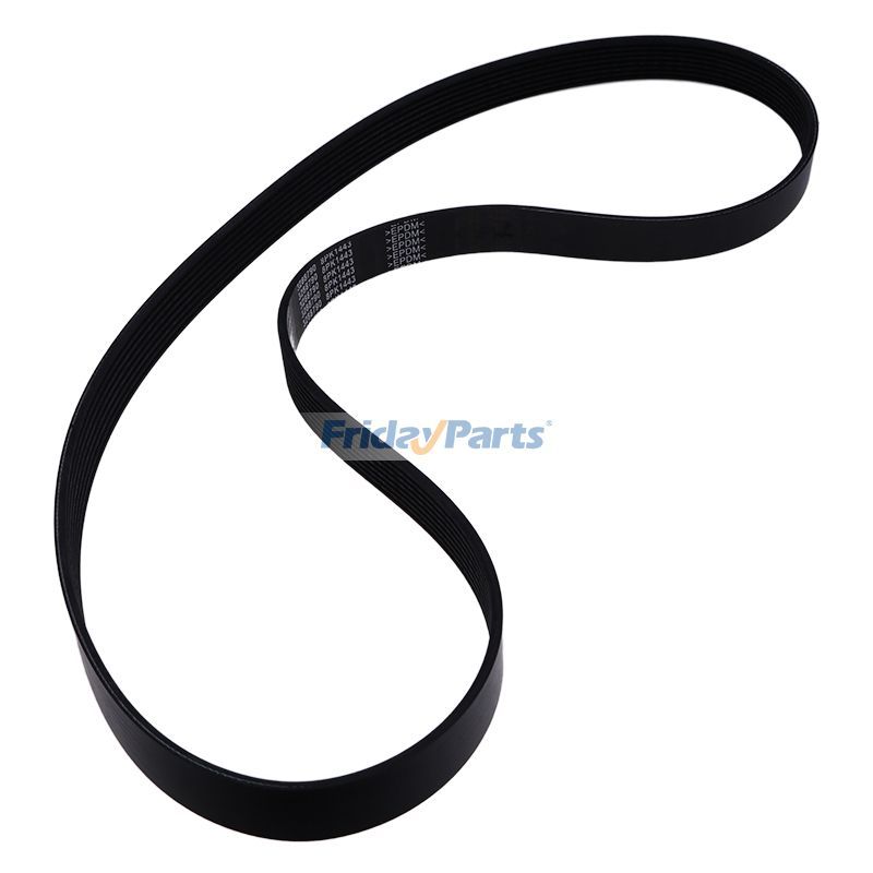 Correa 8pk1443 para motor Cummins 4BT 6BT 6CT 6LTA