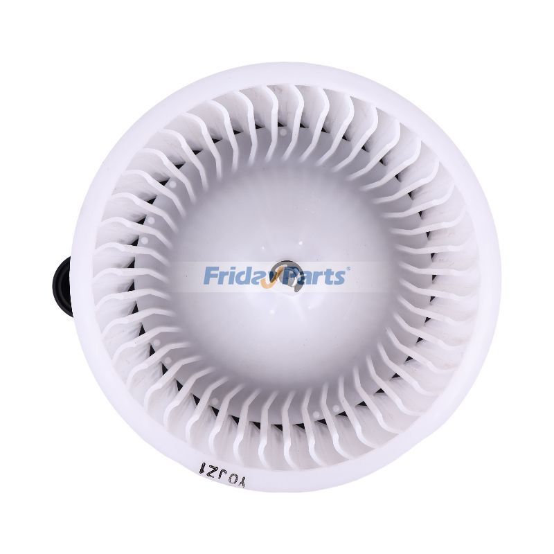 Vehicle Blower Motor