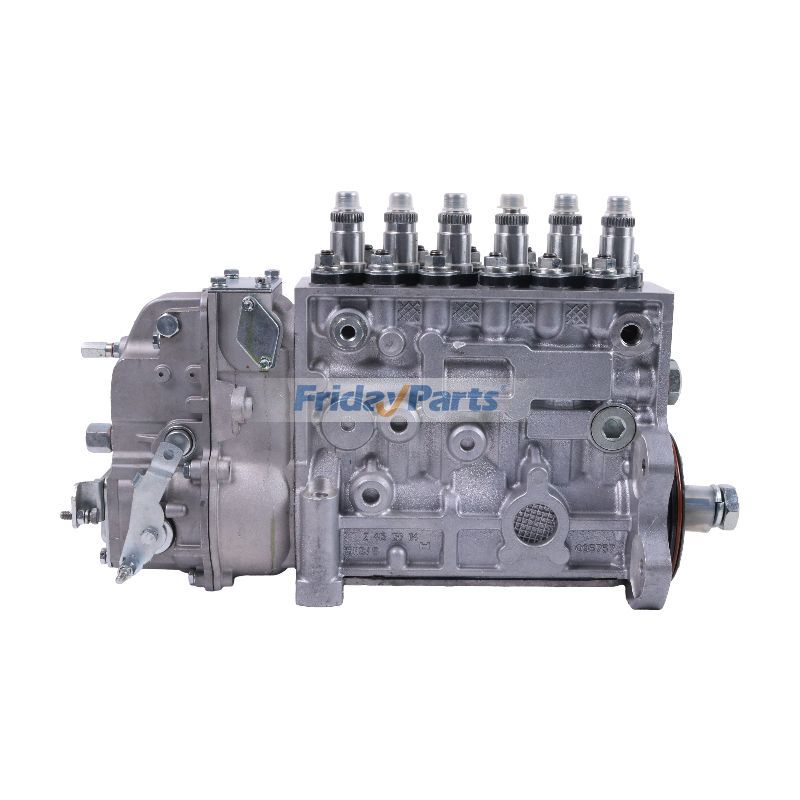 Einspritzpumpefür Motor