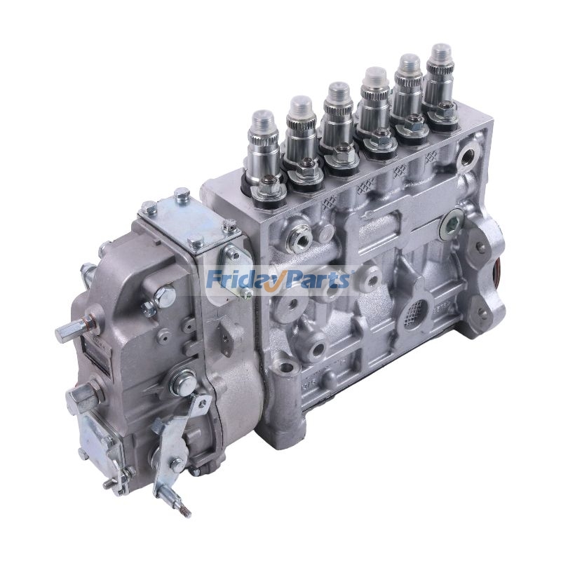 Einspritzpumpefür Motor