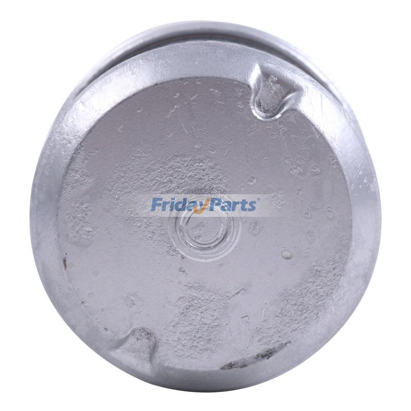 Brake Booster Accumulator NP NS NT NW in Stock in China