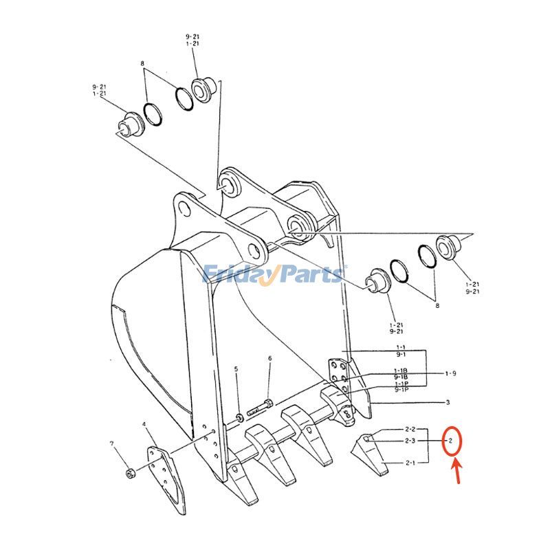 Dent de godetpour Pelle