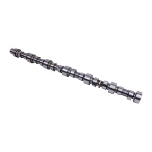 3968381 Camshaft 3923478 for Cummins 6CT Engine