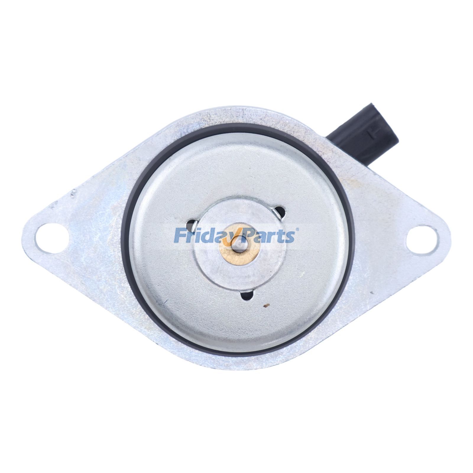 Camshaft Adjustment Control Valve in Stock in China