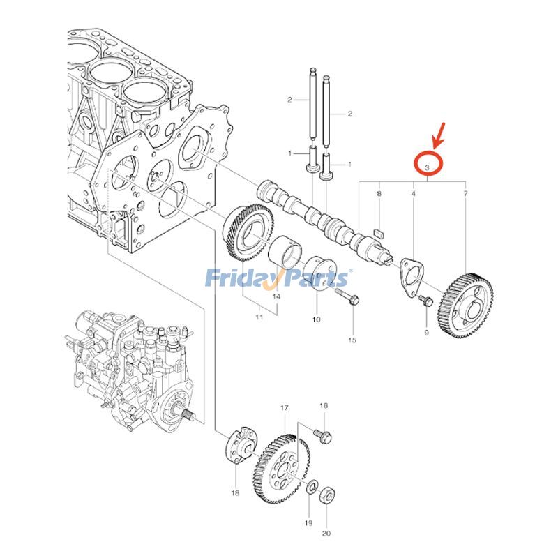 Ensemble d'arbre à camespour Pelle