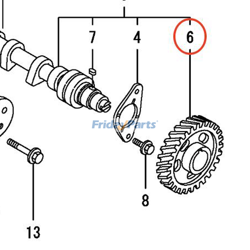 Camshaft Gear for Engine,Forklift,Loader