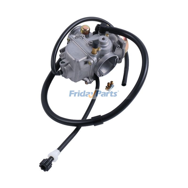 FridayParts Carburetor Assembly