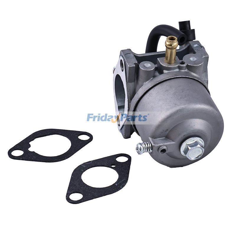Mower Carburetor with Gasket