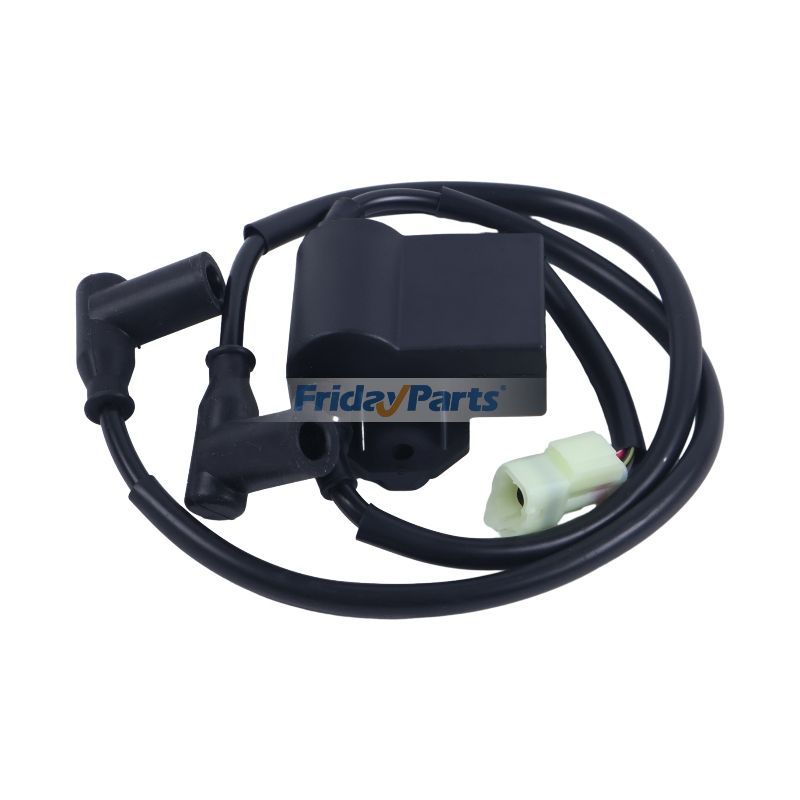 CDI 点火モジュール 420965756 420965591 420965757 Ski-Doo Formula S SL Skandic 380 500 Touring E LE SLE 1996-1997 用