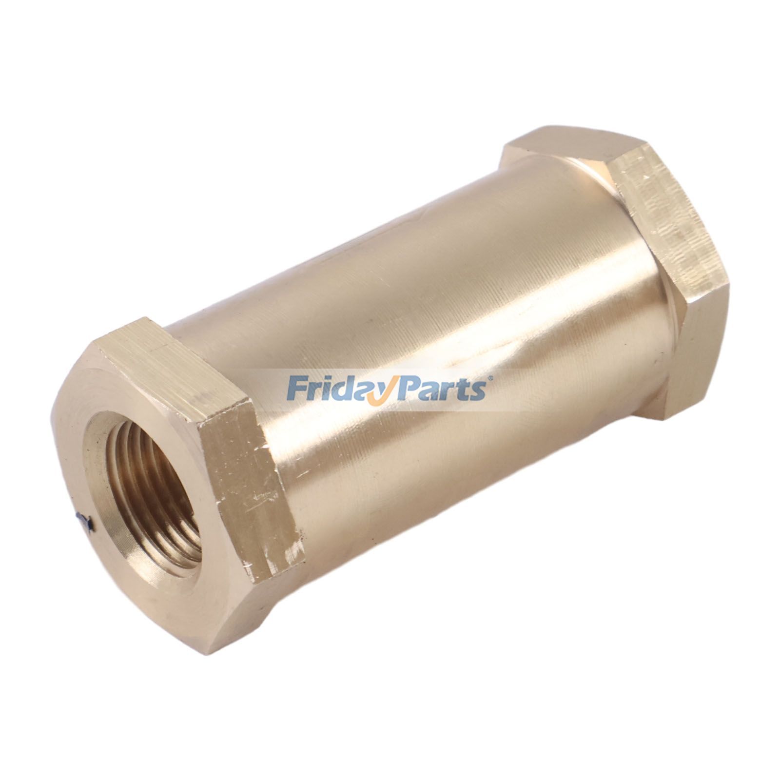 Check Valve for Engine