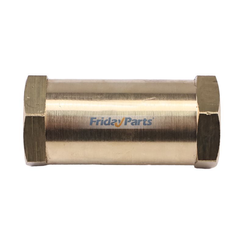 Check Valve for Engine