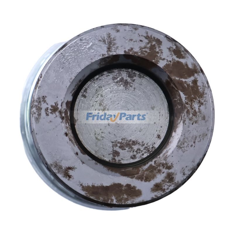 FridayParts Check Valve