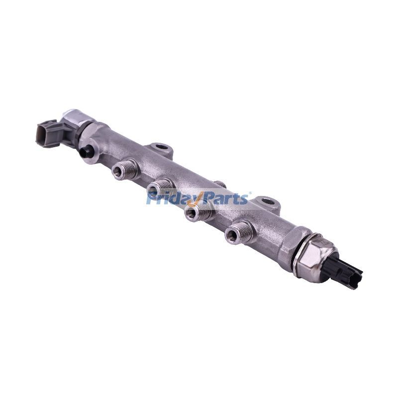 Common Fuel Rail Assembly for Engine,Loader,Tractor