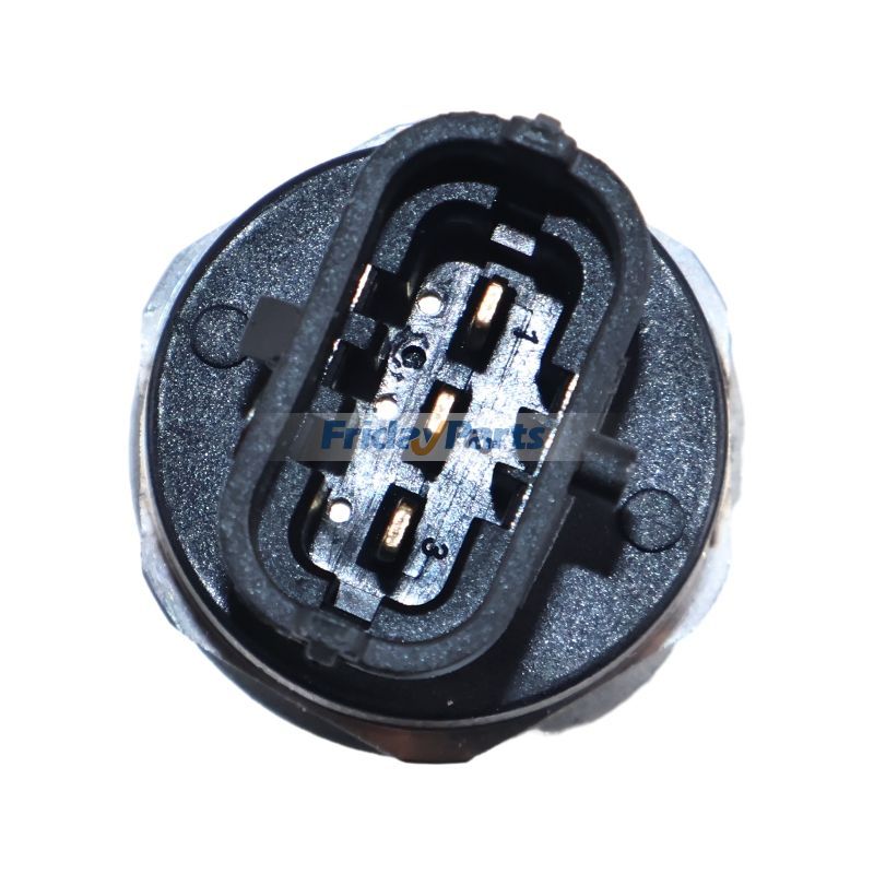 FridayParts Common Rail Assembly