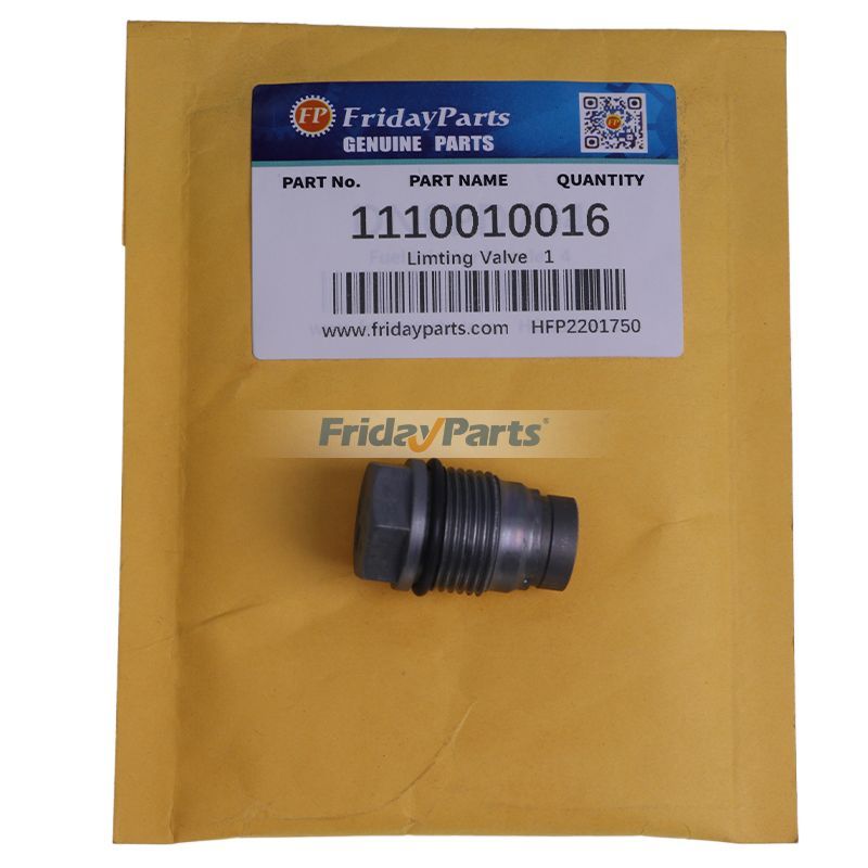 Common Rail Pressure Relief Valve Pressure Limiting Valve 1110010016 for Bosch