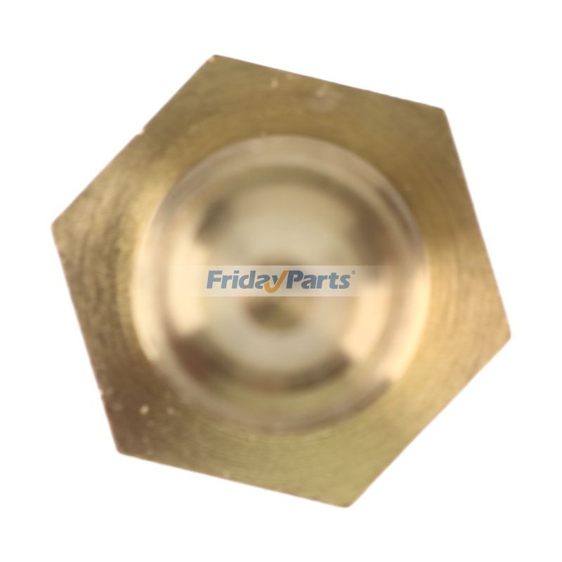 Capteur de température du liquide de refroidissement de FridayParts