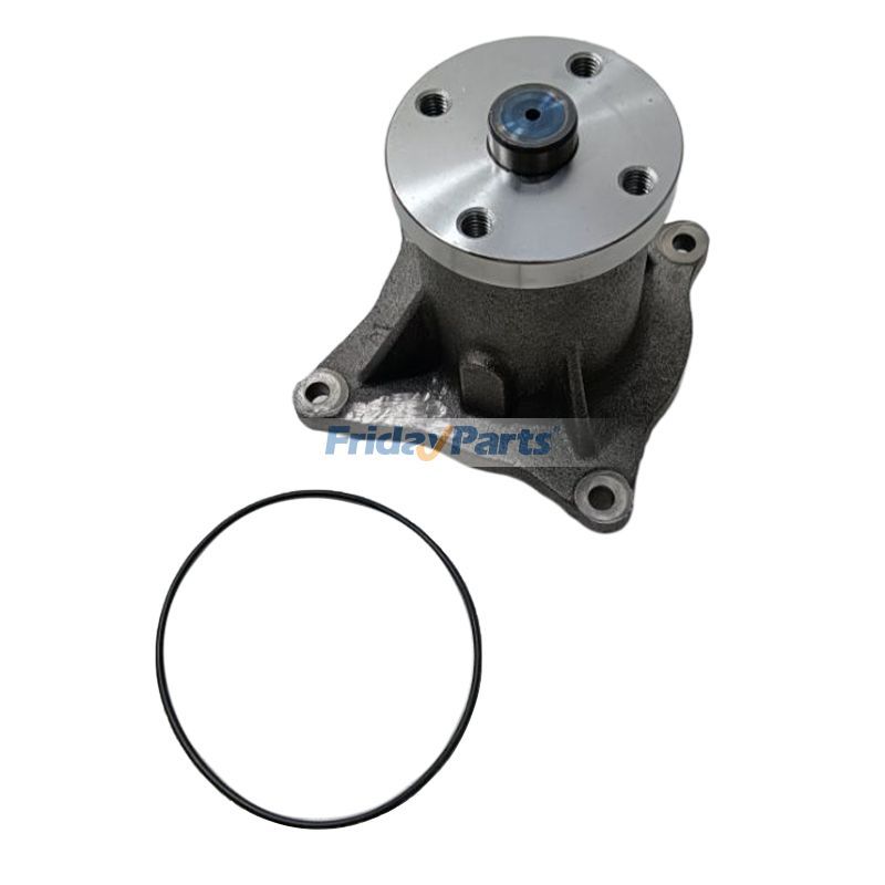 Kühlwasserpumpe Caterpillar CAT EEE C E200B EEfür Bagger