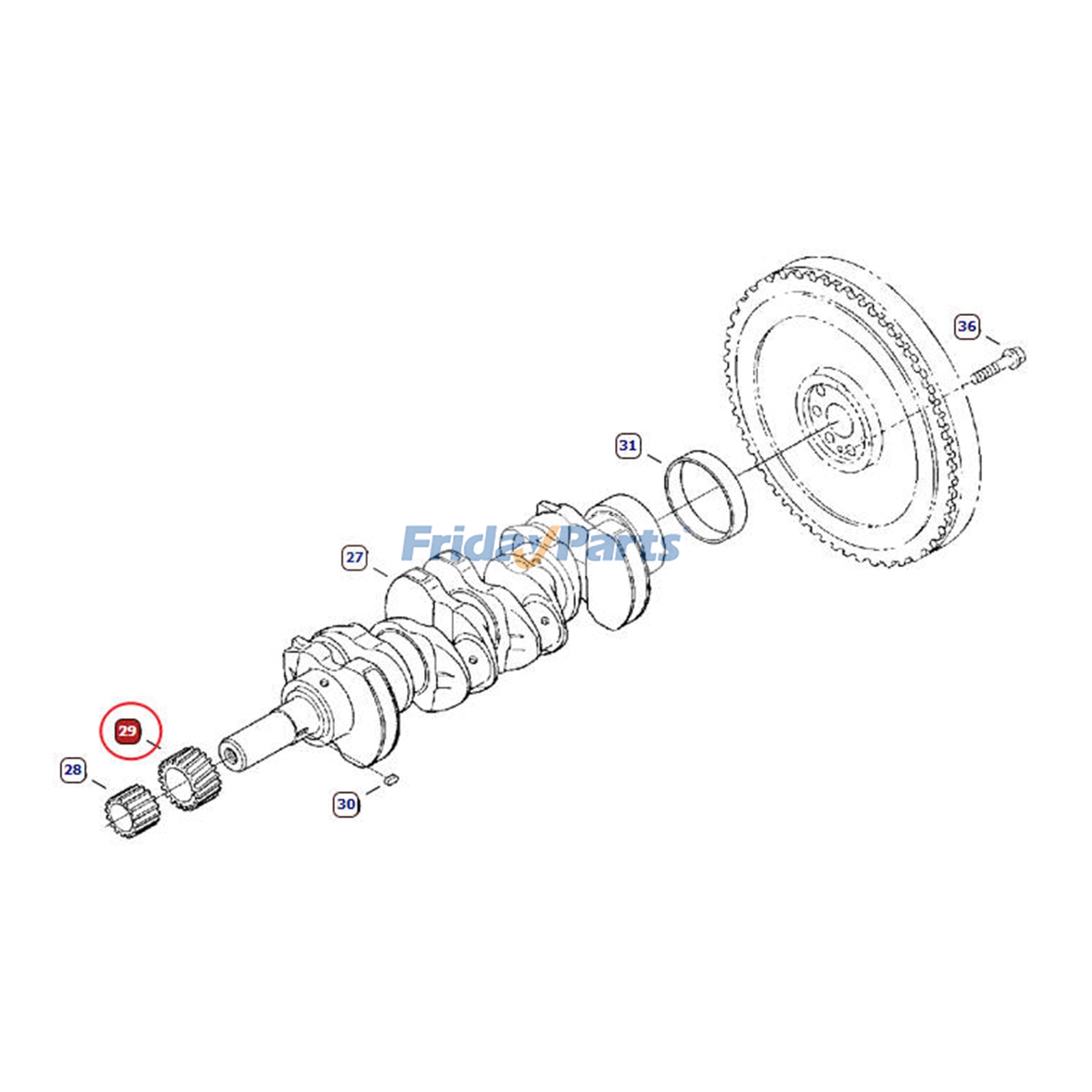 Engrenage de vilebrequinpour Moteur,Chargeur,Chariot Télescopique