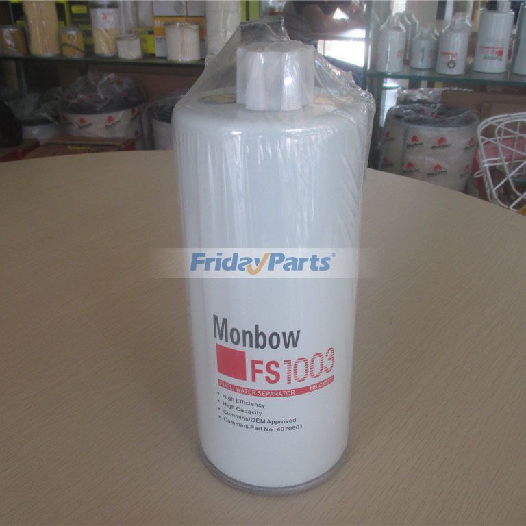 For Cummins Generator Sets Fuel Filter 4070801