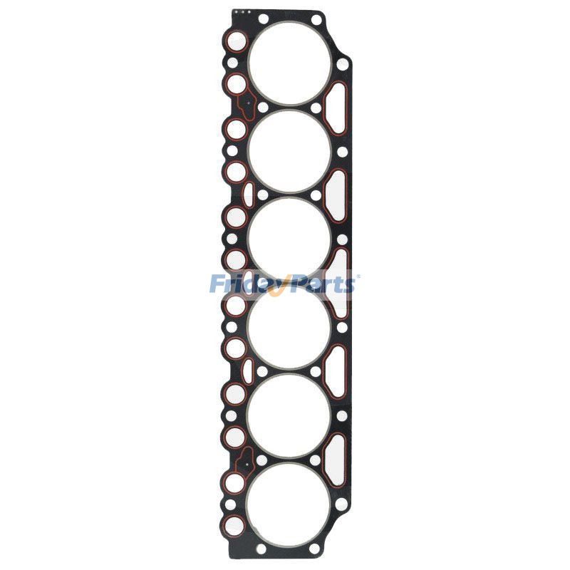 Cylind Head Gasket BF6M1013 in Stock in China